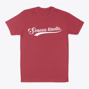 Seneca Knolls New York Vintage Team Classic Dad T-Shirt