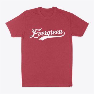 Evergreen Missouri Vintage Team Classic Dad T-Shirt