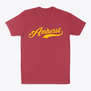 Amherst Wisconsin Vintage Team Classic Dad T-Shirt