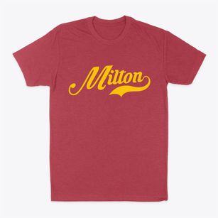 Milton New York Vintage Team Classic Dad T-Shirt
