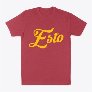 Esto Florida Vintage Team Classic Dad T-Shirt