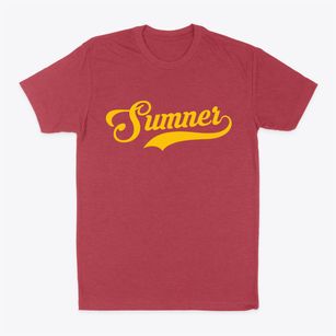 Sumner Missouri Vintage Team Classic Dad T-Shirt