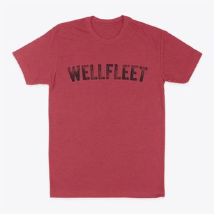 Wellfleet Massachusetts Timeless Retro Classic Dad T-Shirt