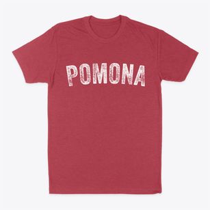 Pomona New York Timeless Retro Classic Dad T-Shirt