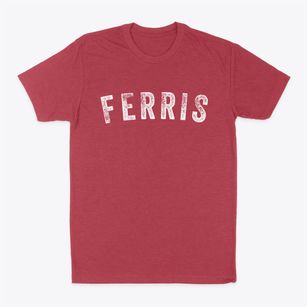 Ferris Texas Timeless Retro Classic Dad T-Shirt