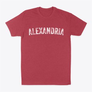 Alexandria Virginia Timeless Retro Classic Dad T-Shirt