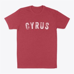 Cyrus Minnesota Timeless Retro Classic Dad T-Shirt