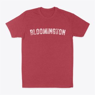 Bloomington Illinois Timeless Retro Classic Dad T-Shirt