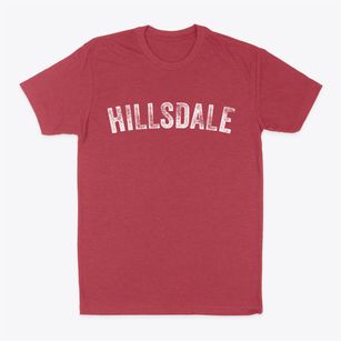 Hillsdale Michigan Timeless Retro Classic Dad T-Shirt