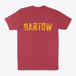 Bartow West Virginia Timeless Retro Classic Dad T-Shirt