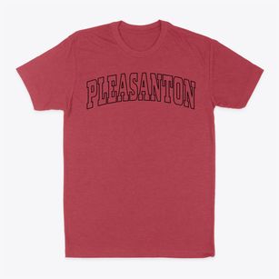 Pleasanton California Trendy Block Classic Dad T-Shirt