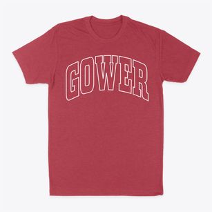 Gower Missouri Trendy Block Classic Dad T-Shirt