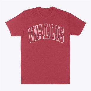 Wallis Texas Trendy Block Classic Dad T-Shirt