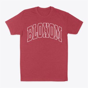 Bloxom Virginia Trendy Block Classic Dad T-Shirt