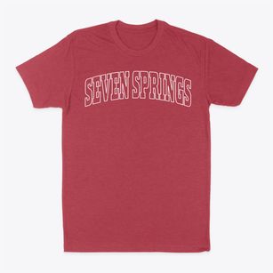 Seven Springs Pennsylvania Trendy Block Classic Dad T-Shirt