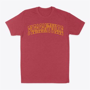 Pleasantville Ohio Trendy Block Classic Dad T-Shirt