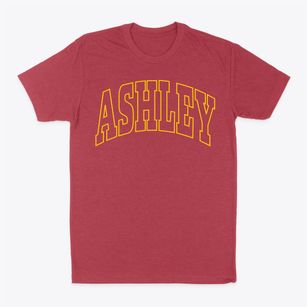 Ashley Illinois Trendy Block Classic Dad T-Shirt