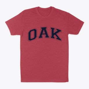 Oak Nebraska Varsity Classic Dad T-Shirt