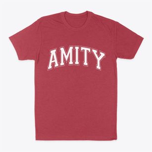 Amity Missouri Varsity Classic Dad T-Shirt