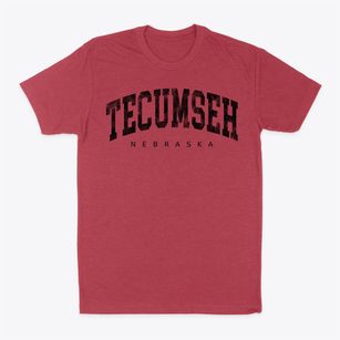 Tecumseh Nebraska Urban Vibe Classic Dad T-Shirt