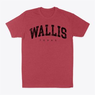 Wallis Texas Urban Vibe Classic Dad T-Shirt