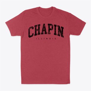 Chapin Illinois Urban Vibe Classic Dad T-Shirt