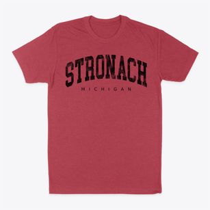 Stronach Michigan Urban Vibe Classic Dad T-Shirt