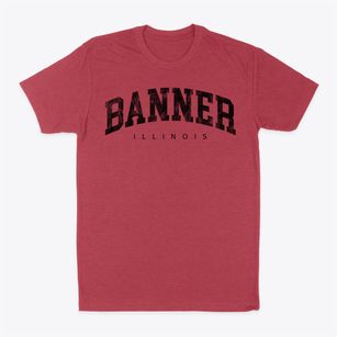 Banner Illinois Urban Vibe Classic Dad T-Shirt