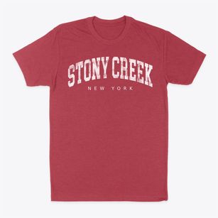Stony Creek New York Urban Vibe Classic Dad T-Shirt