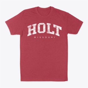 Holt Missouri Urban Vibe Classic Dad T-Shirt