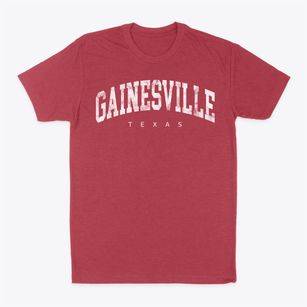 Gainesville Texas Urban Vibe Classic Dad T-Shirt