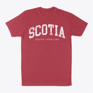 Scotia South Carolina Urban Vibe Classic Dad T-Shirt