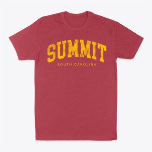Summit South Carolina Urban Vibe Classic Dad T-Shirt