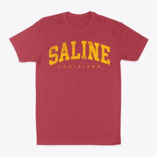 Saline Louisiana Urban Vibe Classic Dad T-Shirt