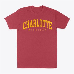 Charlotte Michigan Urban Vibe Classic Dad T-Shirt