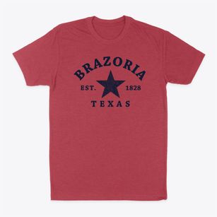 Brazoria Texas Star Classic Dad T-Shirt