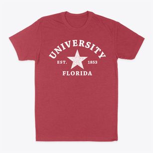 University Florida Star Classic Dad T-Shirt
