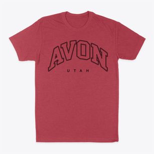 Avon Utah Inline Classic Dad T-Shirt