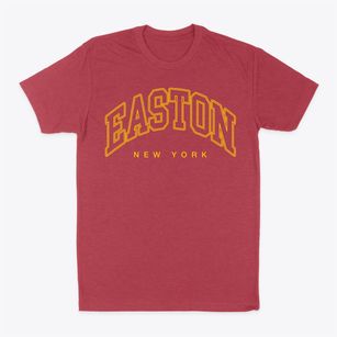 Easton New York Inline Classic Dad T-Shirt