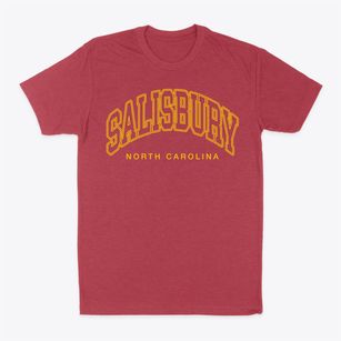 Salisbury North Carolina Inline Classic Dad T-Shirt