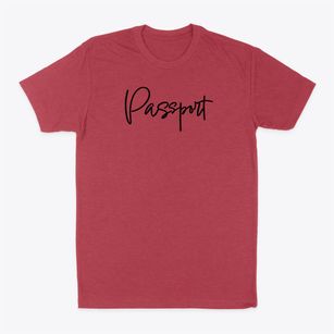 Passport Illinois Freestyle Classic Dad T-Shirt