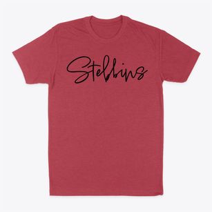 Stebbins Alaska Freestyle Classic Dad T-Shirt