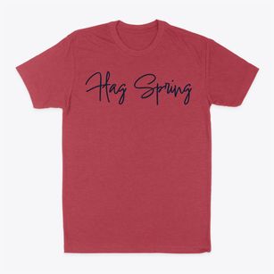 Flag Spring Missouri Freestyle Classic Dad T-Shirt