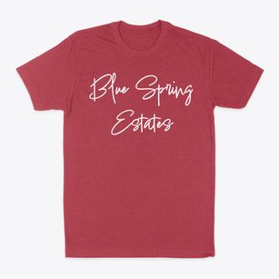 Blue Spring Estates Kentucky Freestyle Classic Dad T-Shirt