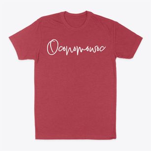 Oconomowoc Wisconsin Freestyle Classic Dad T-Shirt