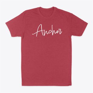 Anchor Illinois Freestyle Classic Dad T-Shirt