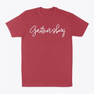 Gaithersburg Maryland Freestyle Classic Dad T-Shirt
