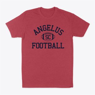 Angelus South Carolina Football Classic Dad T-Shirt