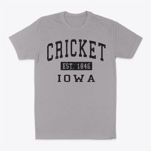 Cricket Iowa Classic Established Classic Dad T-Shirt