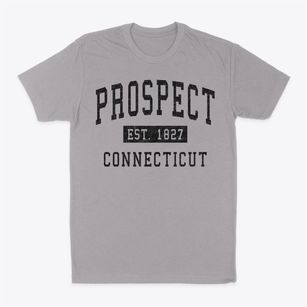 Prospect Connecticut Classic Established Classic Dad T-Shirt